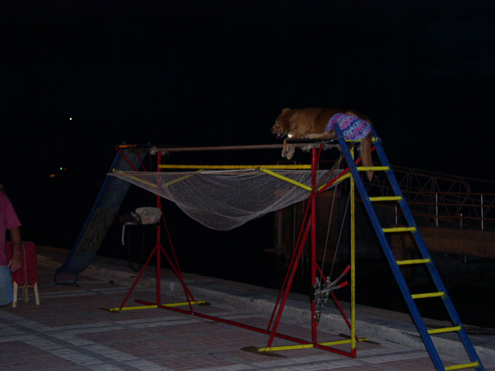 photo1